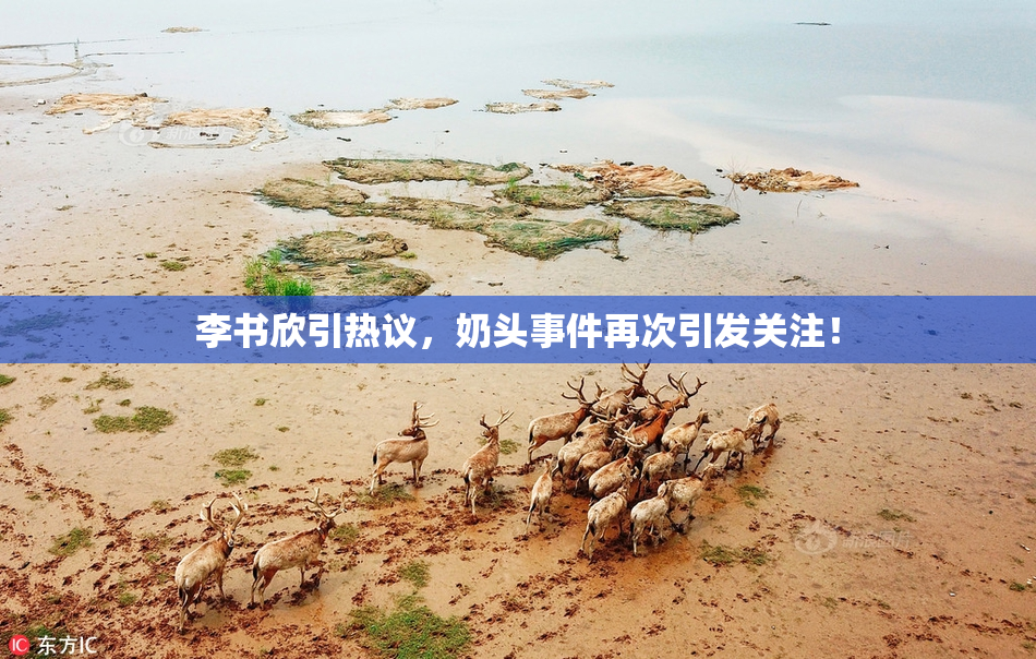 李书欣引热议，奶头事件再次引发关注！