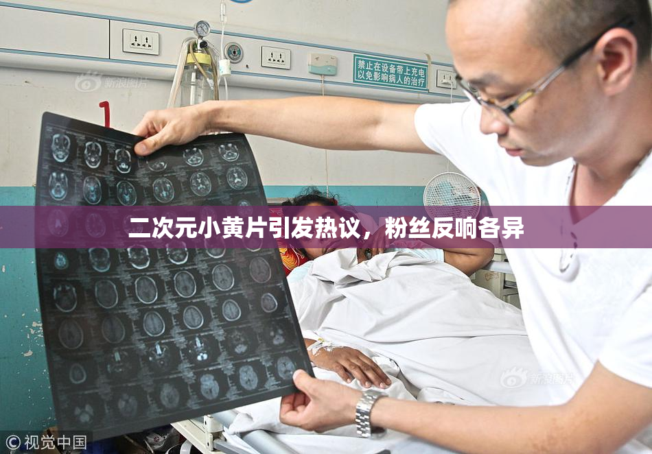二次元小黄片引发热议，粉丝反响各异