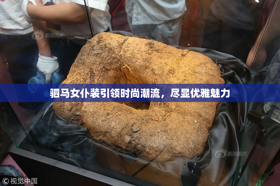 驷马女仆装引领时尚潮流，尽显优雅魅力