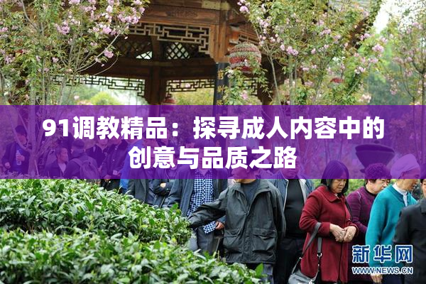 91调教精品：探寻成人内容中的创意与品质之路