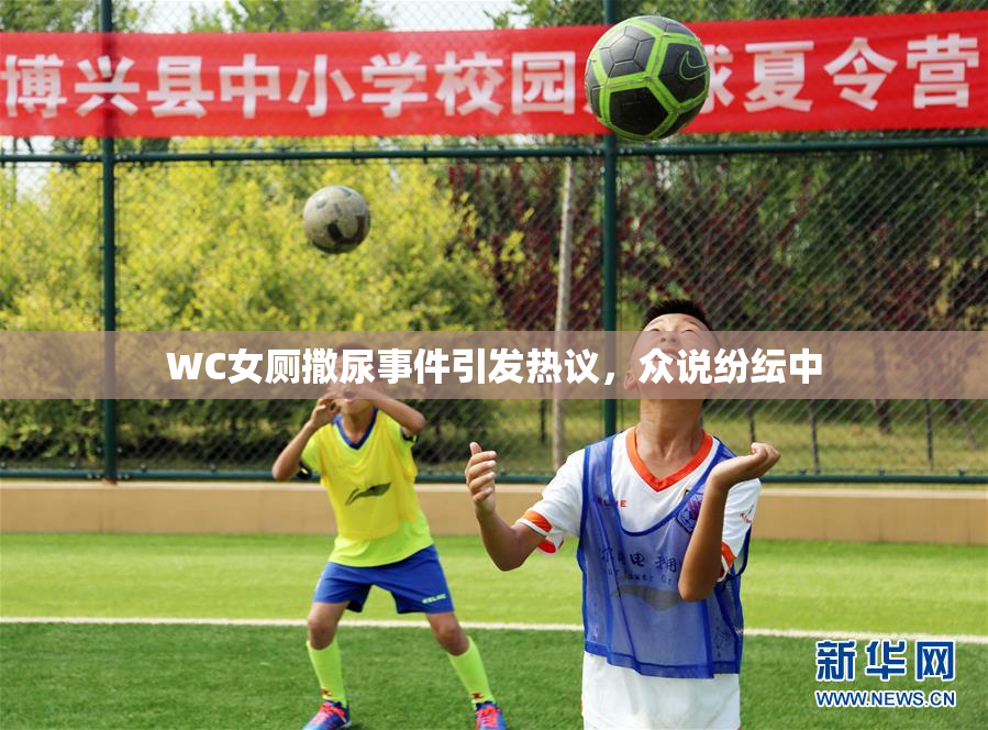 WC女厕撒尿事件引发热议，众说纷纭中