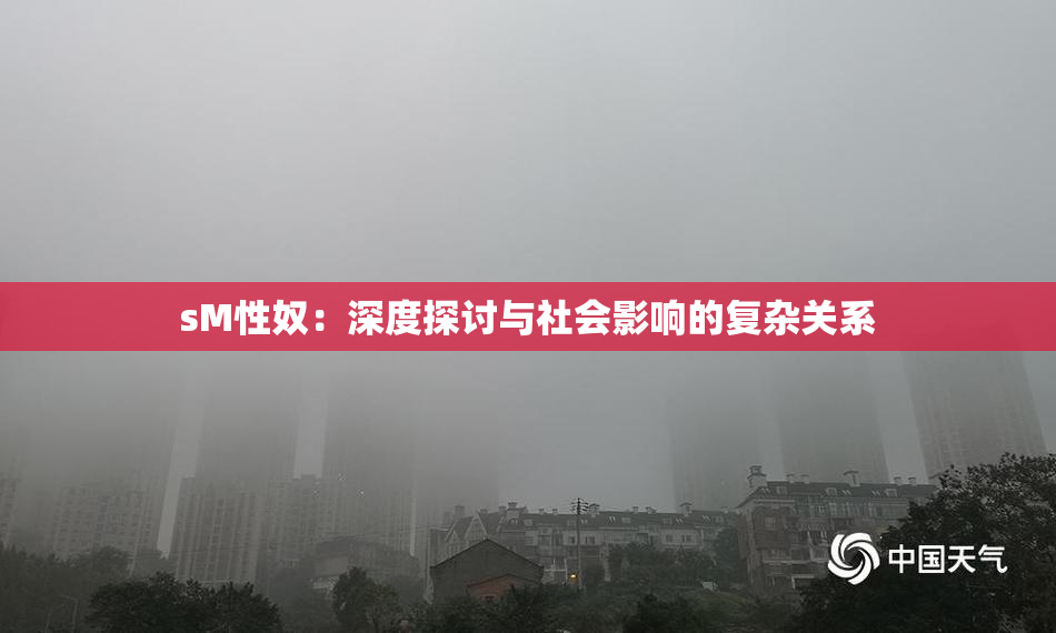 sM性奴：深度探讨与社会影响的复杂关系