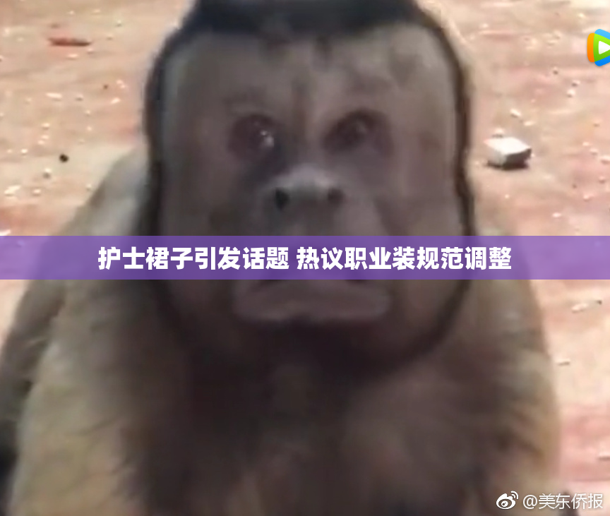 护士裙子引发话题 热议职业装规范调整