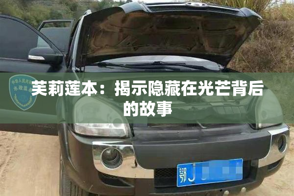 芙莉莲本：揭示隐藏在光芒背后的故事