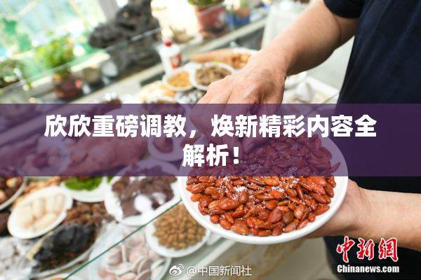 欣欣重磅调教，焕新精彩内容全解析！