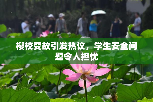 樱校变故引发热议，学生安全问题令人担忧