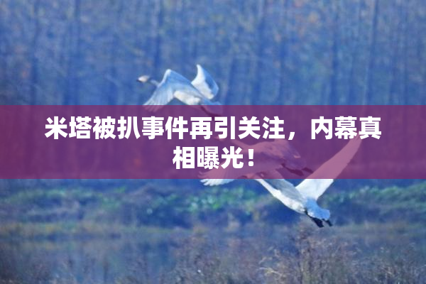 米塔被扒事件再引关注，内幕真相曝光！