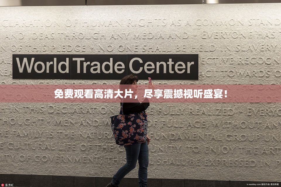 免费观看高清大片，尽享震撼视听盛宴！