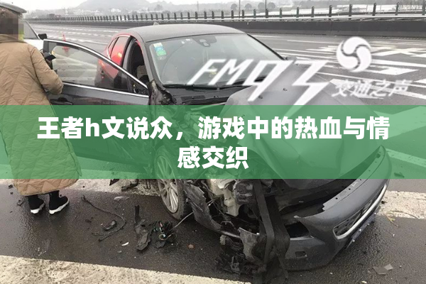 王者h文说众，游戏中的热血与情感交织