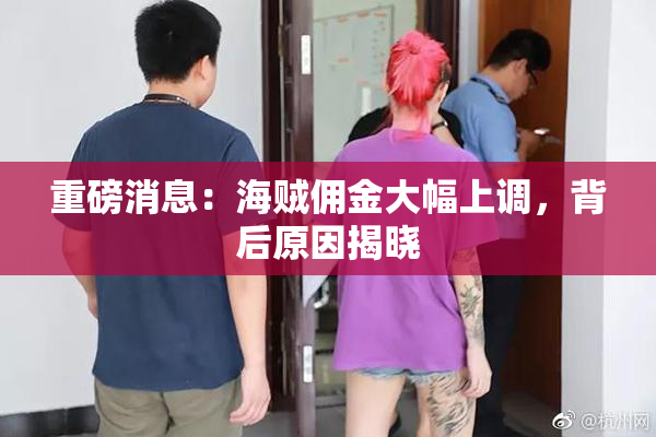 重磅消息：海贼佣金大幅上调，背后原因揭晓