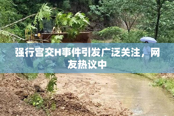 强行宫交H事件引发广泛关注，网友热议中