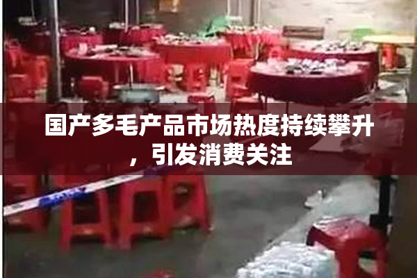 国产多毛产品市场热度持续攀升，引发消费关注