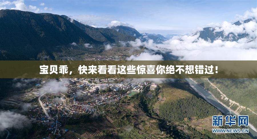 宝贝乖，快来看看这些惊喜你绝不想错过！