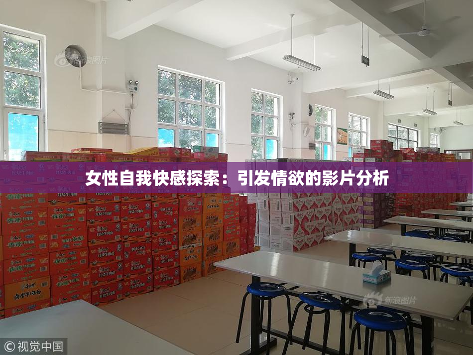 女性自我快感探索：引发情欲的影片分析