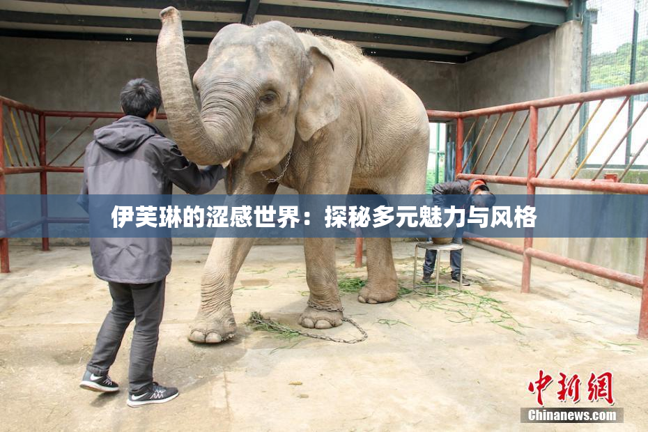 伊芙琳的涩感世界：探秘多元魅力与风格
