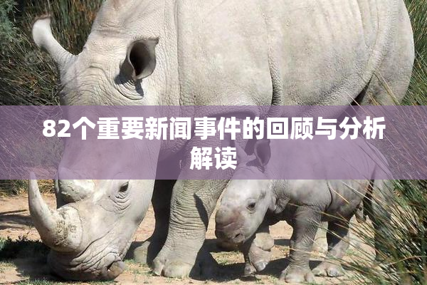82个重要新闻事件的回顾与分析解读