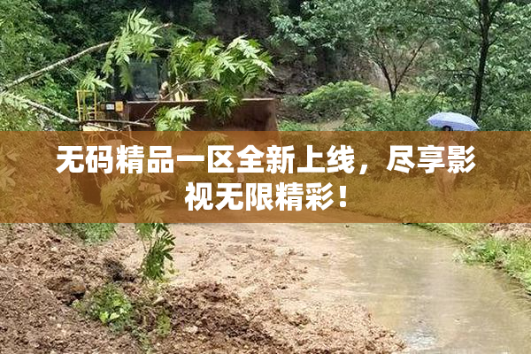 无码精品一区全新上线，尽享影视无限精彩！