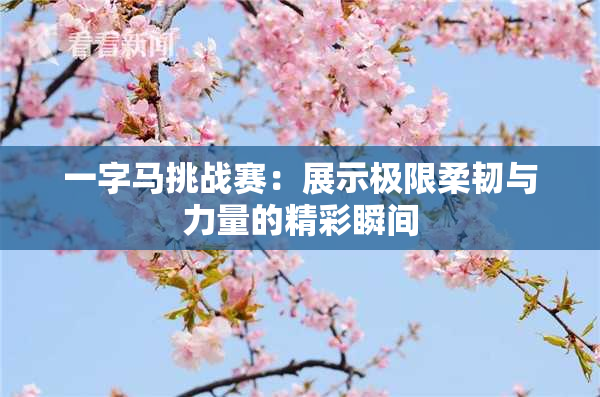 一字马挑战赛：展示极限柔韧与力量的精彩瞬间
