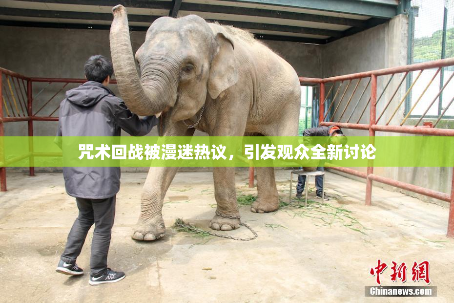 咒术回战被漫迷热议，引发观众全新讨论