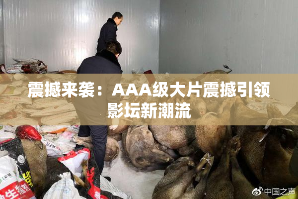 震撼来袭：AAA级大片震撼引领影坛新潮流