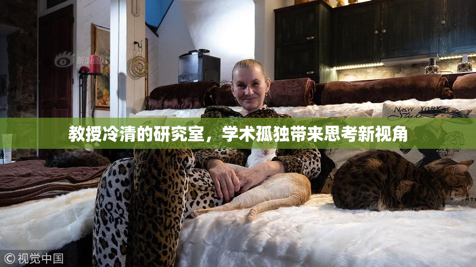 教授冷清的研究室，学术孤独带来思考新视角