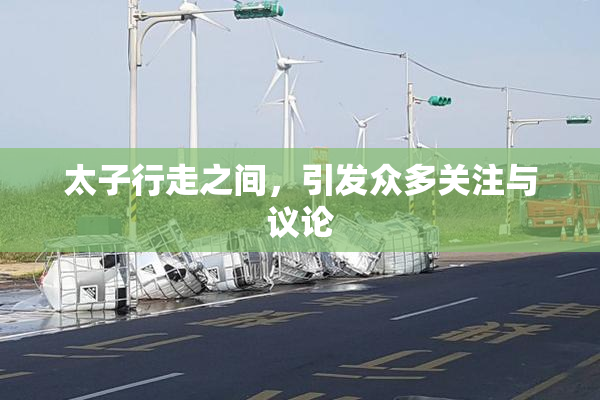 太子行走之间，引发众多关注与议论