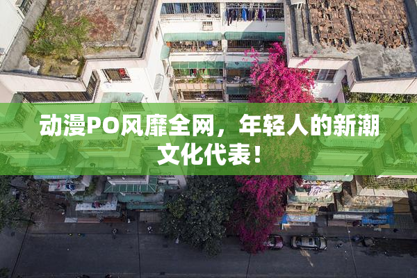动漫PO风靡全网，年轻人的新潮文化代表！