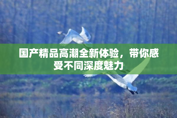 国产精品高潮全新体验，带你感受不同深度魅力