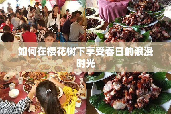 如何在樱花树下享受春日的浪漫时光