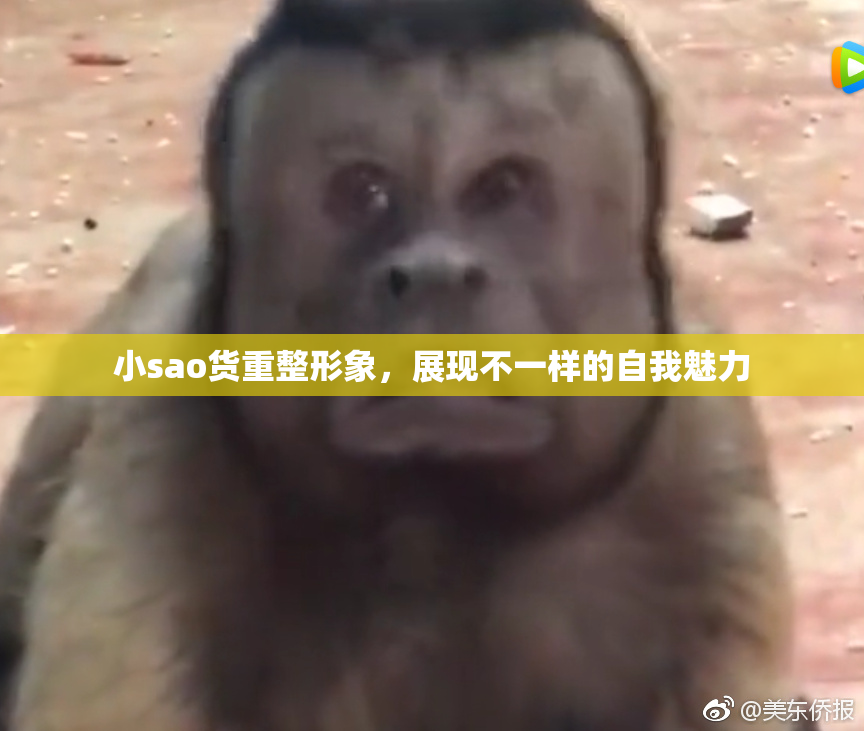 小sao货重整形象，展现不一样的自我魅力