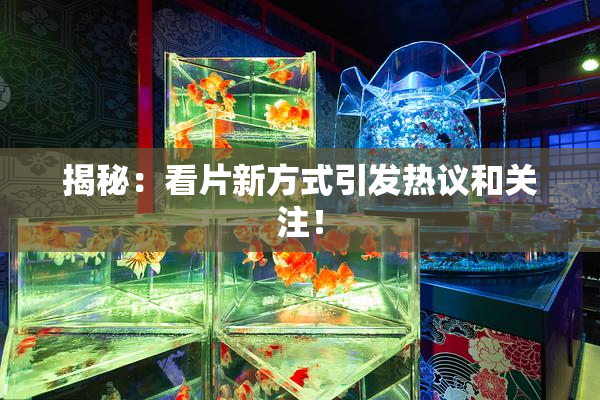 揭秘：看片新方式引发热议和关注！