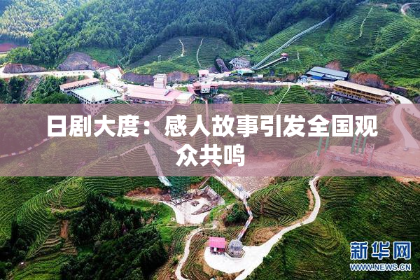 日剧大度：感人故事引发全国观众共鸣