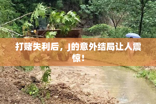 打赌失利后，J的意外结局让人震惊！