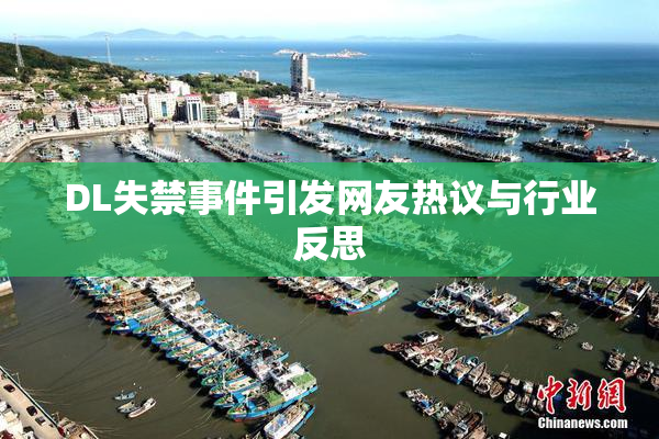 DL失禁事件引发网友热议与行业反思