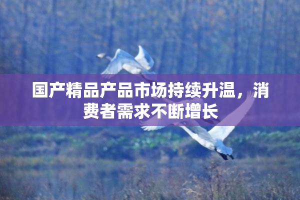 国产精品产品市场持续升温，消费者需求不断增长