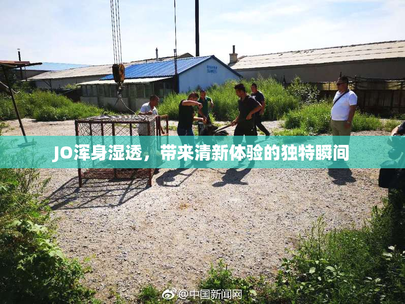 JO浑身湿透，带来清新体验的独特瞬间