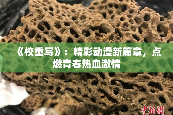 《校重写》：精彩动漫新篇章，点燃青春热血激情