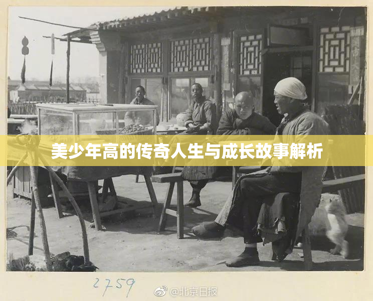 美少年高的传奇人生与成长故事解析