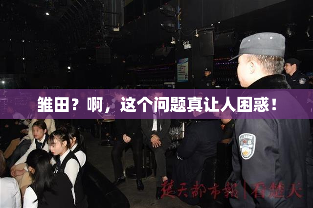 雏田？啊，这个问题真让人困惑！