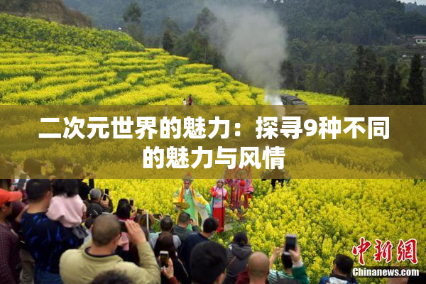 二次元世界的魅力：探寻9种不同的魅力与风情