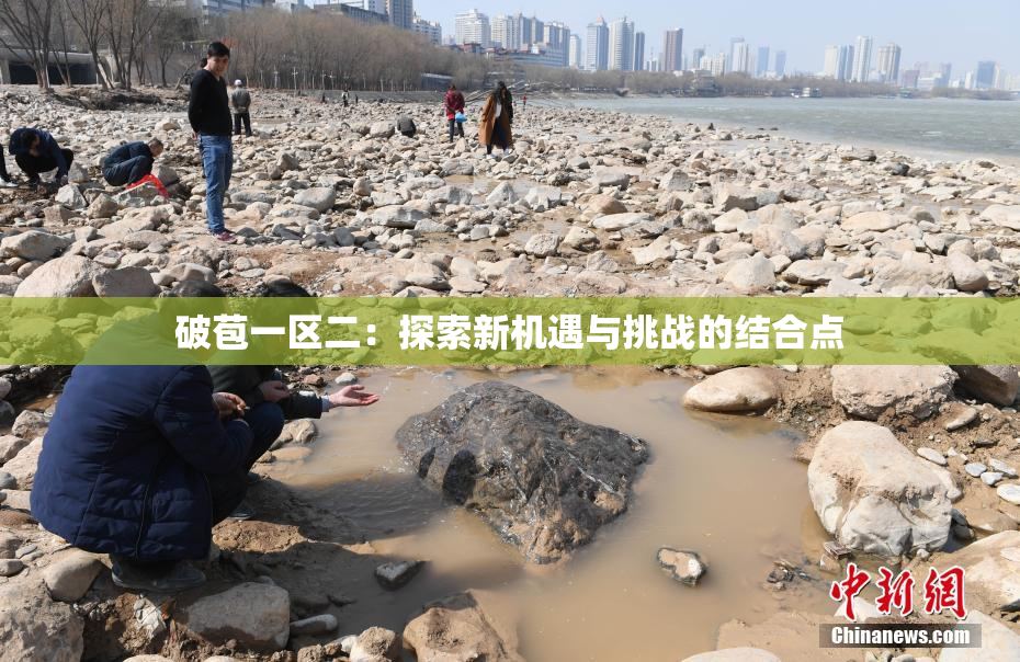 破苞一区二：探索新机遇与挑战的结合点
