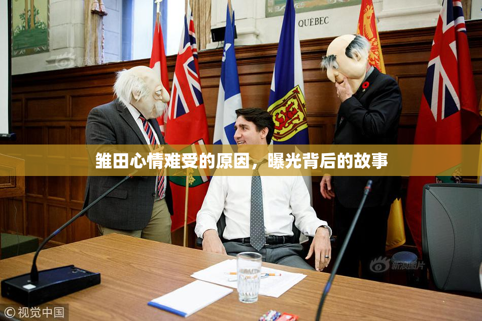 雏田心情难受的原因，曝光背后的故事