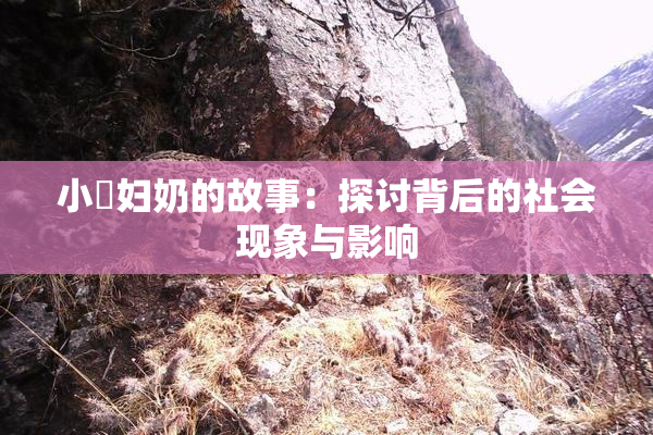 小婬妇奶的故事：探讨背后的社会现象与影响