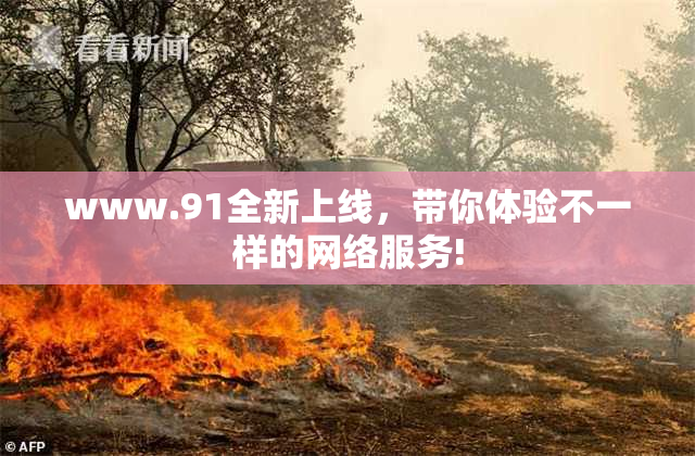 www.91全新上线，带你体验不一样的网络服务!