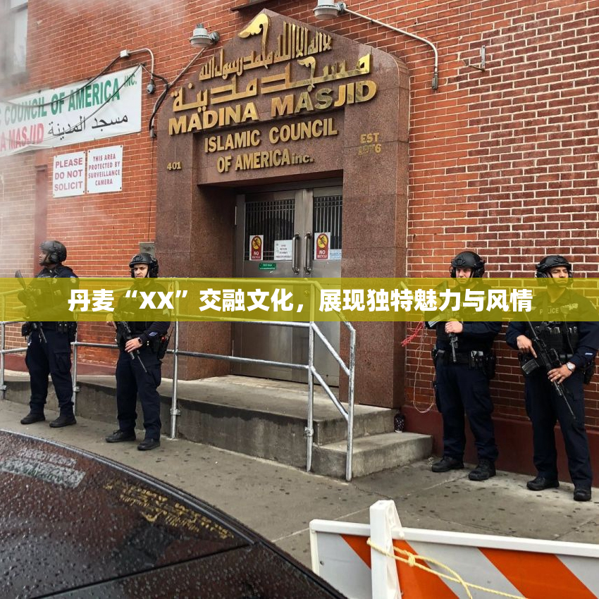 丹麦“XX”交融文化，展现独特魅力与风情