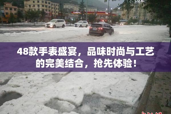 48款手表盛宴，品味时尚与工艺的完美结合，抢先体验！