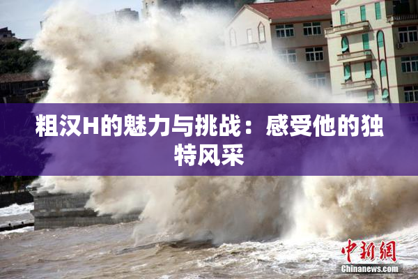 粗汉H的魅力与挑战：感受他的独特风采