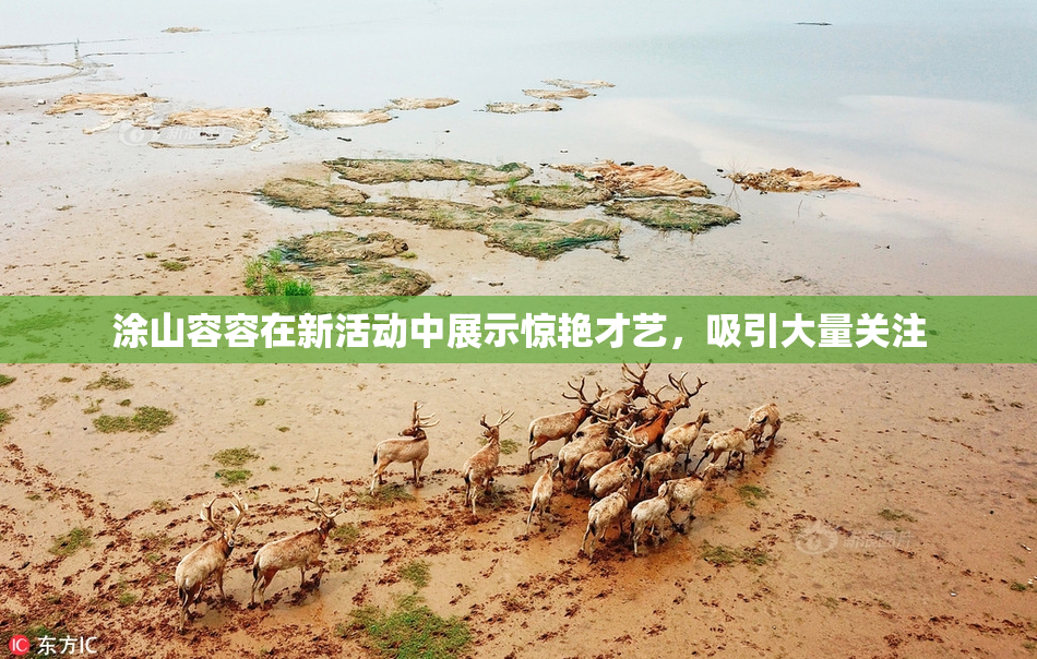 涂山容容在新活动中展示惊艳才艺，吸引大量关注