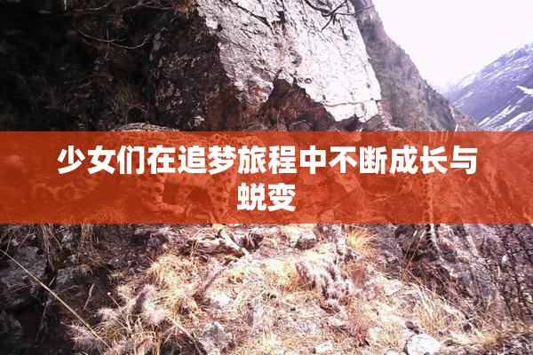 少女们在追梦旅程中不断成长与蜕变