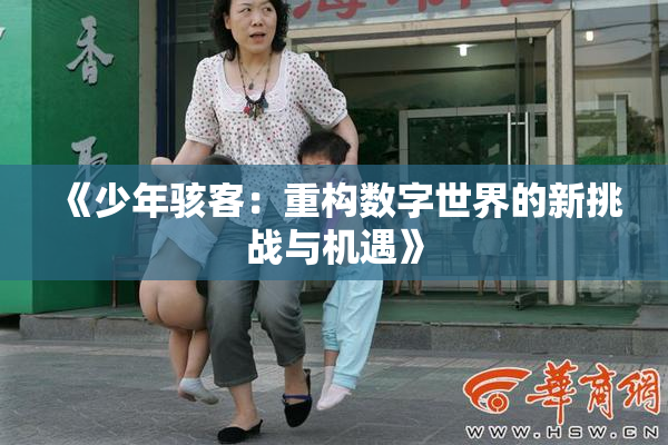 《少年骇客：重构数字世界的新挑战与机遇》